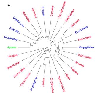 Figure 5A